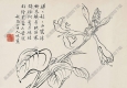 郭味蕖國(guó)畫(huà) 白描花卉 高清大圖下載