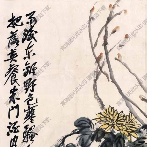 吳昌碩《菊花》國(guó)畫高清大圖下載