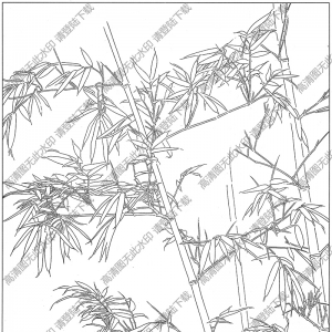 竹子白描線稿15高清圖片下載