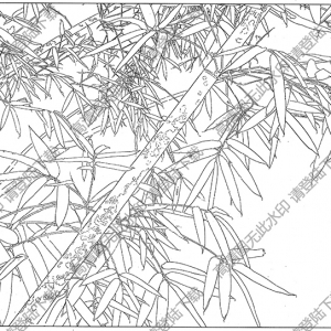 竹子線描畫(huà)底稿18高清大圖下載