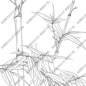 竹子線描畫底稿34高清大圖下載