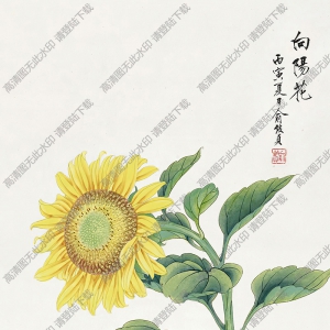 俞致貞國(guó)畫(huà)作品 向陽(yáng)花2 高清下載