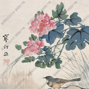 江寒汀國畫 芙蓉小鳥2 高清大圖下載