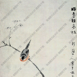 華巖國(guó)畫 好鳥(niǎo)棲高枝 高清大圖下載