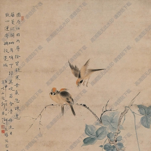 華巖國(guó)畫 花鳥(niǎo)畫 高清大圖下載