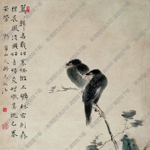 華巖國(guó)畫作品 雙鳥(niǎo)棲枝 高清下載