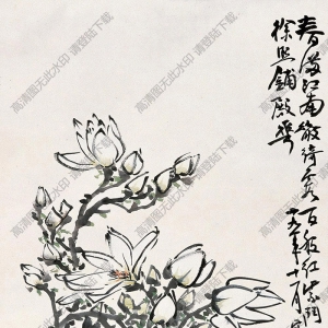 謝公展國(guó)畫(huà) 花卉  (3) 高清大圖下載