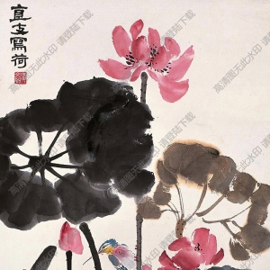 汪溶作品 荷花圖 高清大圖下載