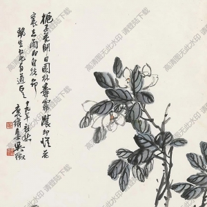 吳徵作品 梔子花圖 高清大圖下載